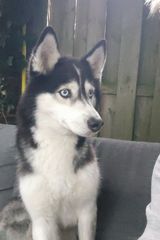 Zdjęcie użytkownika danielgrabowski138