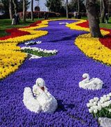 Fotos andrzejniziolek26