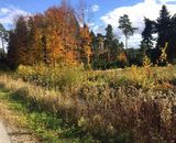 Фотография пользователя marianwasacz696119