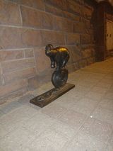 Foto utilizatorului szukajacmilosc