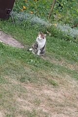 Фотография пользователя PatrykK123