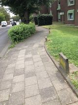 Benutzerfoto DamianScharmach173