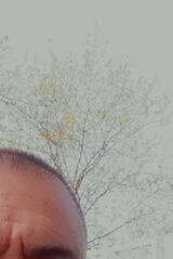 Foto pengguna OndyczJ