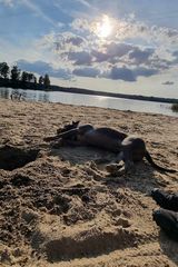 Zdjęcie użytkownika Cresosanhez
