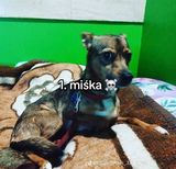 Fotos Krzysztof8896