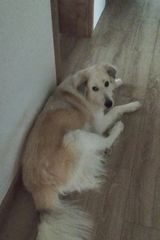 Benutzerfoto dawidgrzywinski567