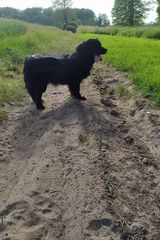 Benutzerfoto damgre22