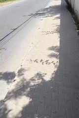 Zdjęcie użytkownika Vasylisbest