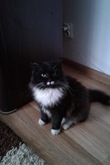 Zdjęcie użytkownika SochaMa