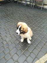 Zdjęcie użytkownika arek0548