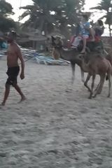 Benutzerfoto maadi14
