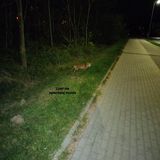 Zdjęcie użytkownika rgmmm