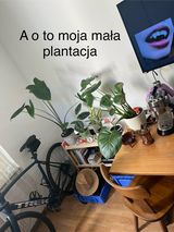 Photos pnxxyvnnnw