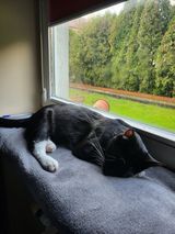 Zdjęcie użytkownika K2T3