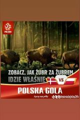 Zdjęcie użytkownika Rafal4545