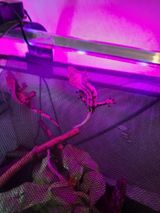 Benutzerfoto bbinczyk131