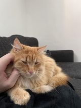 Fotka uživatele pz8d9yhwm2