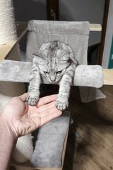 Фотография пользователя MichalXDR