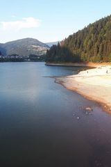 Фотография пользователя GrzegorzGrzegorz10