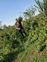 Foto pengguna tomekmis18