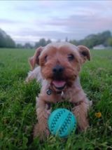 Fotka uživatele Davido80