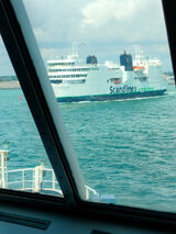 Zdjęcie użytkownika Damian25252512