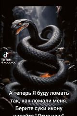 Фотография пользователя Saniya