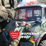 Фотография пользователя wieslawjenin