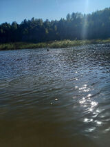 Фото користувача Albi34