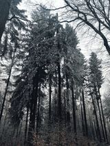 Benutzerfoto jan111111111