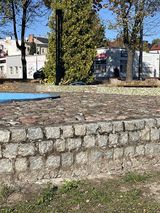 Fotka uživatele tarkowskiandrzej8