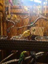 Fotos zuzia11369