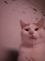 Foto utilizatorului sskok665