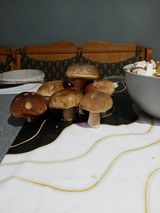 Photos lysypgn