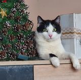 Фотография пользователя Pawlo7710