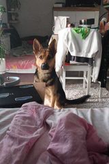 Fotos MarkowiecM