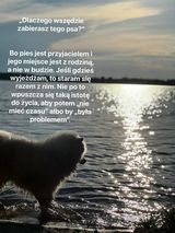 Foto utilizatorului bartezz202020