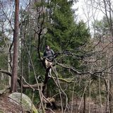 Benutzerfoto ab3l