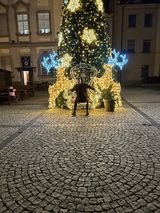 Zdjęcie użytkownika hfrmbjs74r