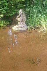 Zdjęcie użytkownika jacekkotynia77