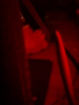 Benutzerfoto denecharles16