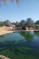 Zdjęcie użytkownika RoccoGdansk72