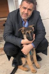 Fotos AdnanMenderesYayla