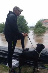 Zdjęcie użytkownika Koso