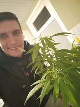Benutzerfoto mrocznezelazko