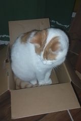 Foto pengguna marcin19961996