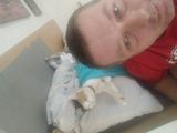 Foto utilizatorului Premo34Plzne