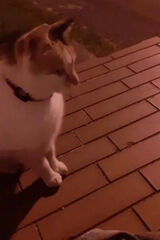 Benutzerfoto KubiCCa