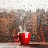 Zdjęcie użytkownika themorningrain