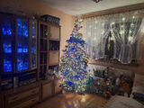 Фотография пользователя Piotre146